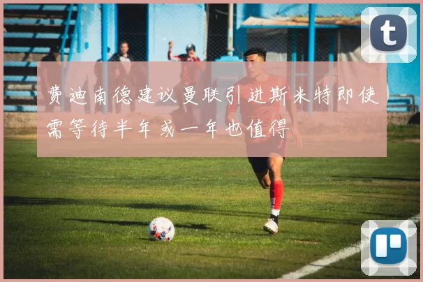 费迪南德建议曼联引进斯米特即使需等待半年或一年也值得